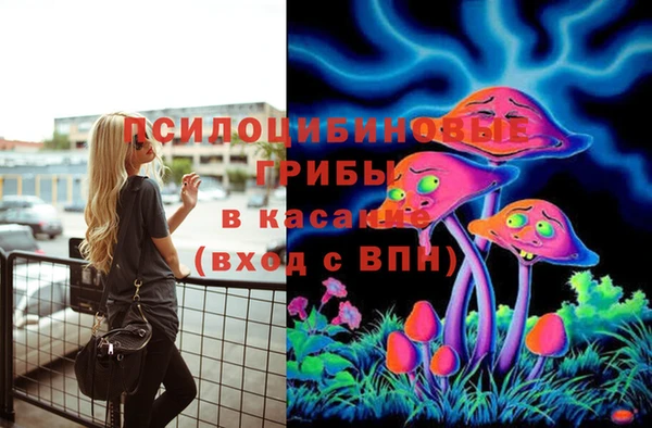 бутират Верхний Тагил