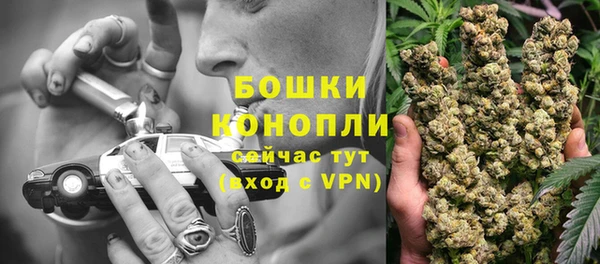 mdpv Белокуриха
