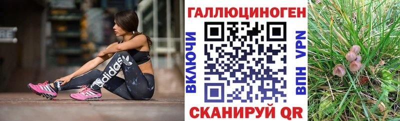 Купить закладки  Губкин  Галлюциногенные грибы Magic Shrooms 